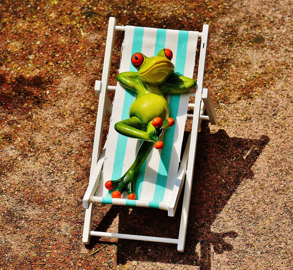 Relaxing In Deck Chair