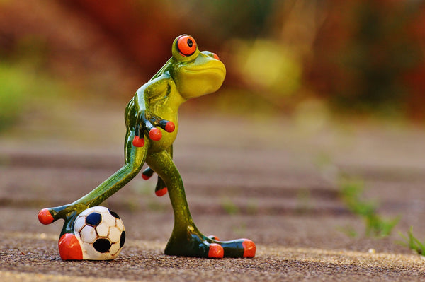 Soccer frog looking to score his next goal.