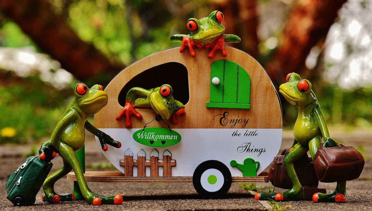 Traveling Froggies with Trailer