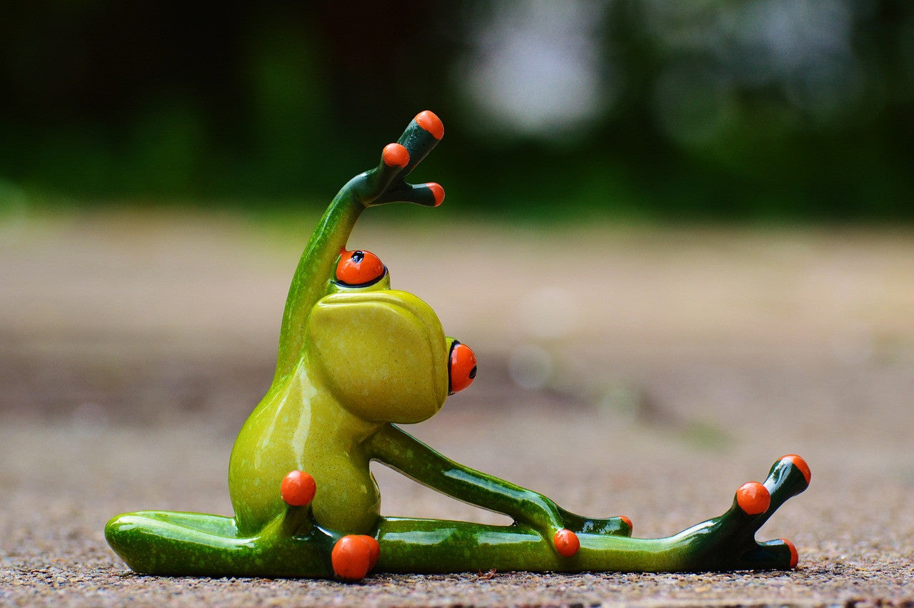 Yoga Frog