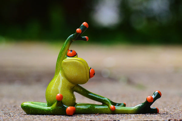 Yoga Frog